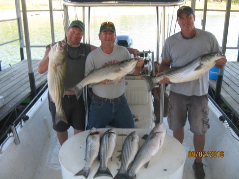 Nice Striped Bass